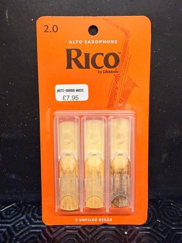 Rico daddario pack bb - by,
