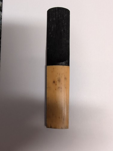 Rico plasticover clarinet reed - plasticover,